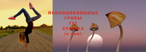 а пвп мука Инсар