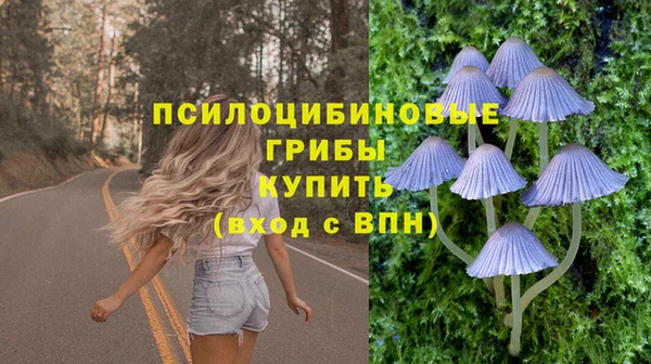 а пвп мука Иннополис