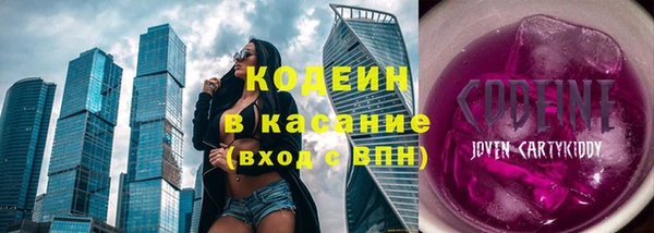СК Каменка
