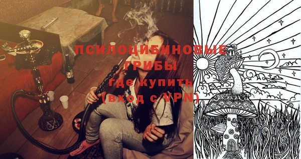 а пвп мука Инсар